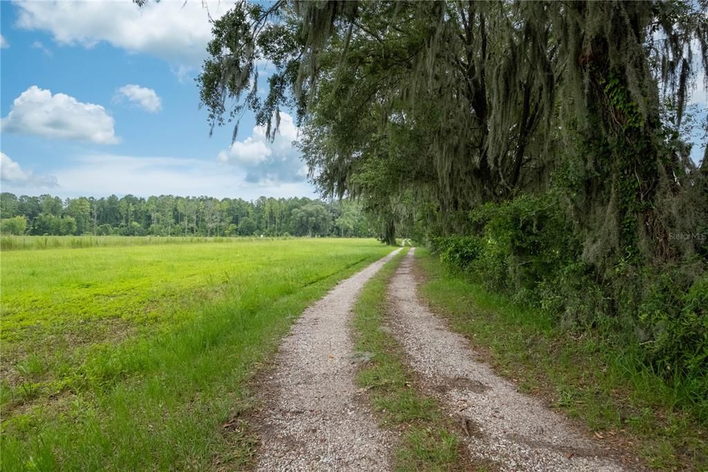 Private driveway with road access