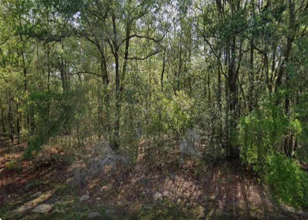 Недавно продано: $13,500 (0.30 acres)