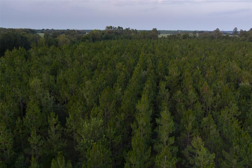 Недавно продано: $185,000 (14.19 acres)