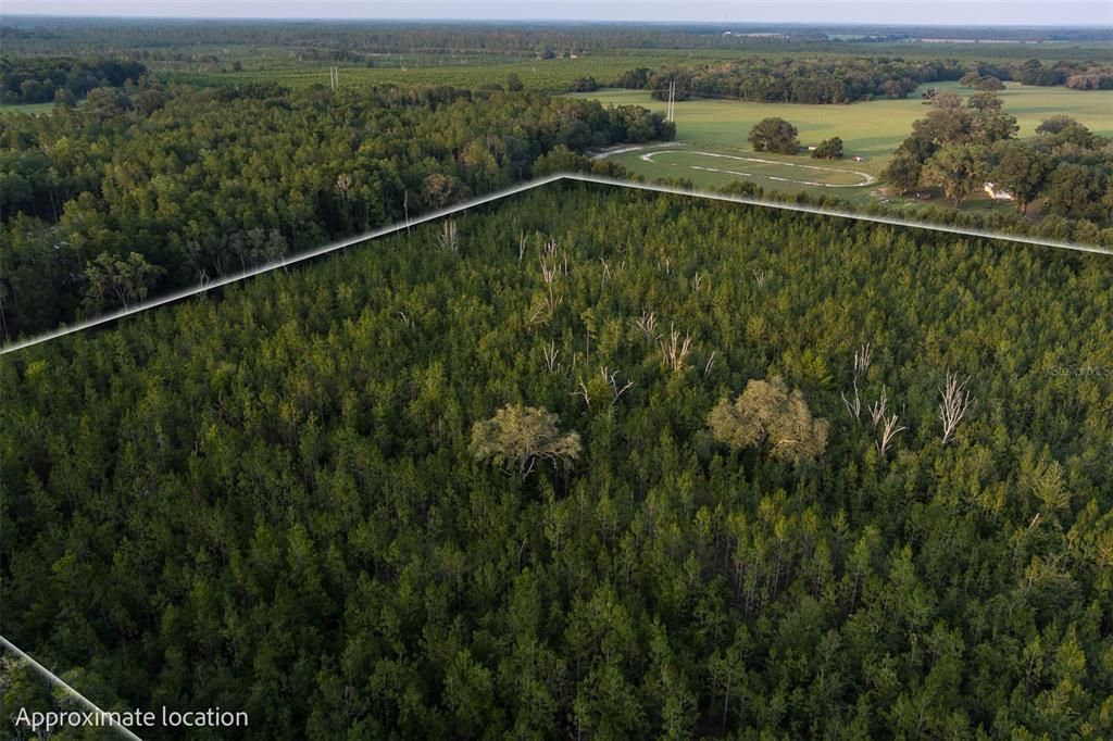 Недавно продано: $185,000 (14.20 acres)