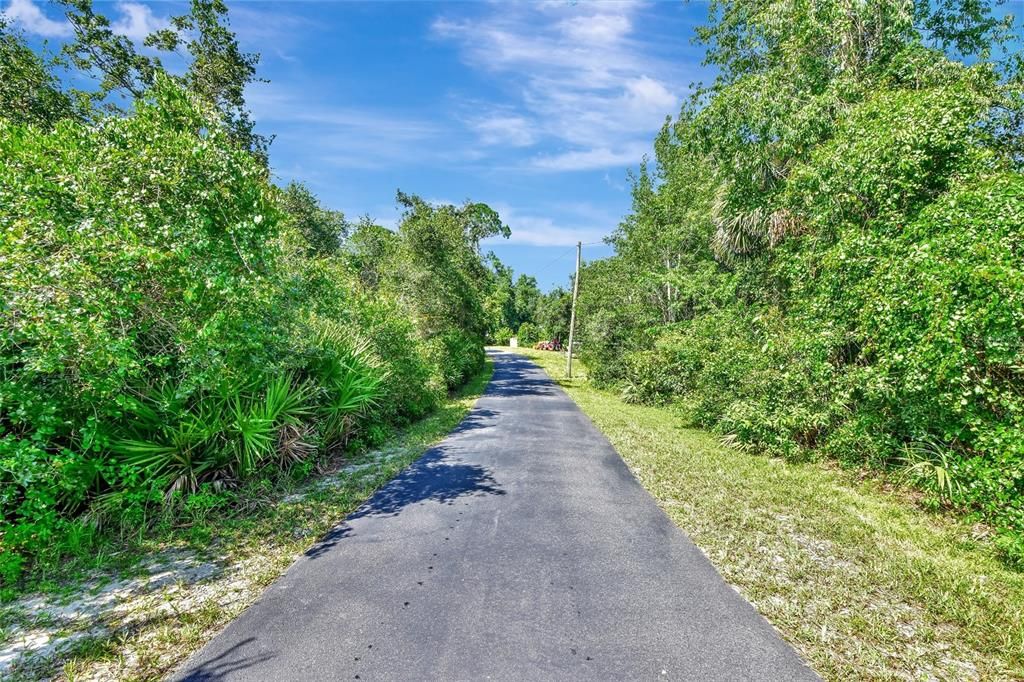 Driveway to house