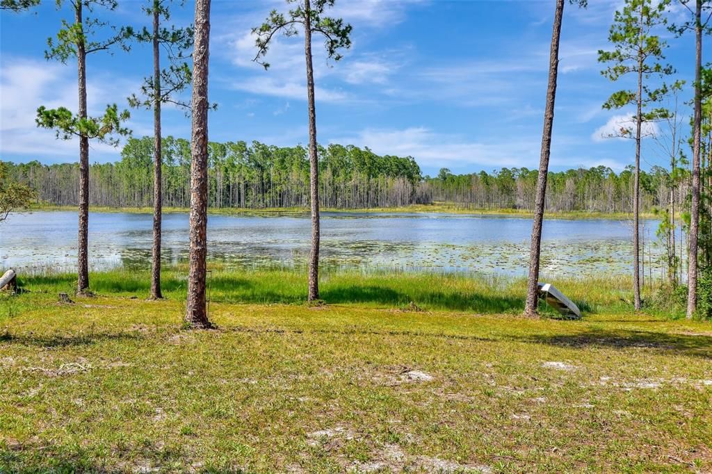 Lake Doyle behind home