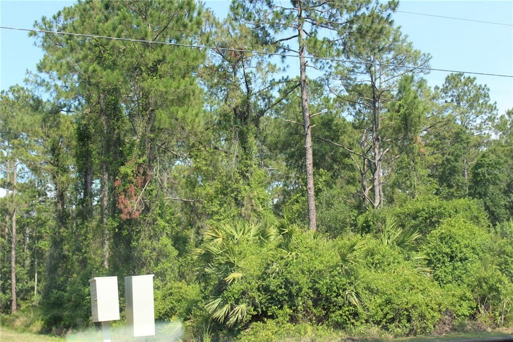 Recently Sold: $18,000 (0.26 acres)