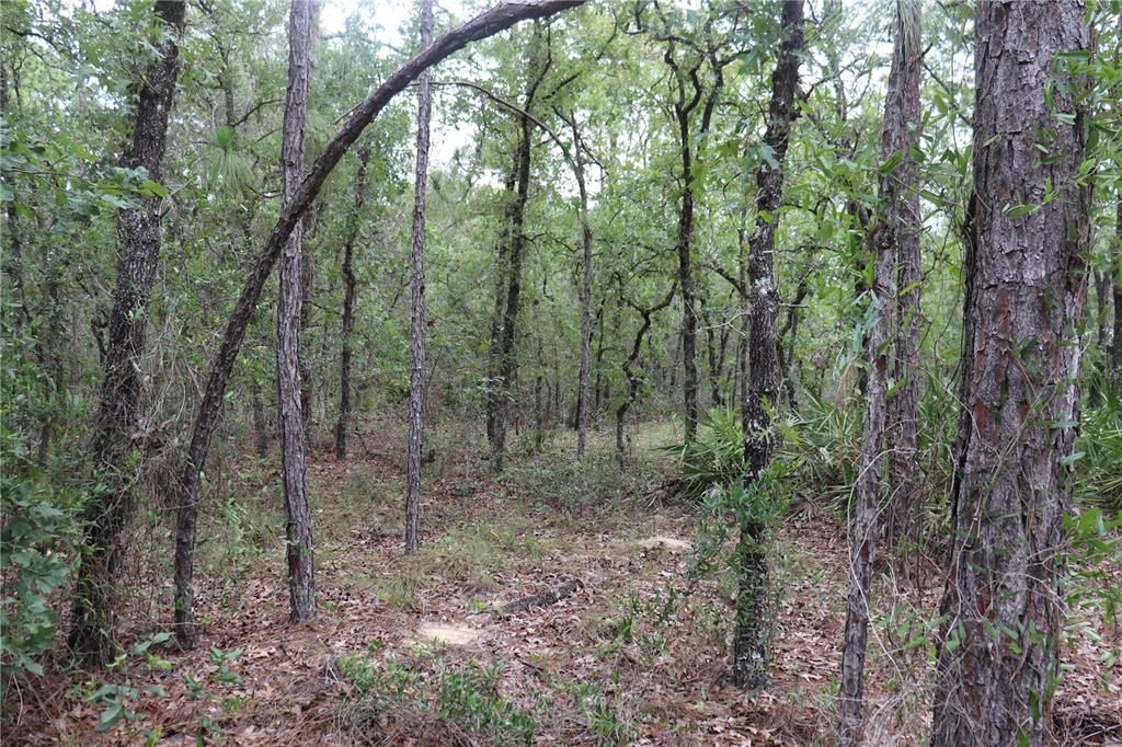 Recently Sold: $75,000 (2.30 acres)