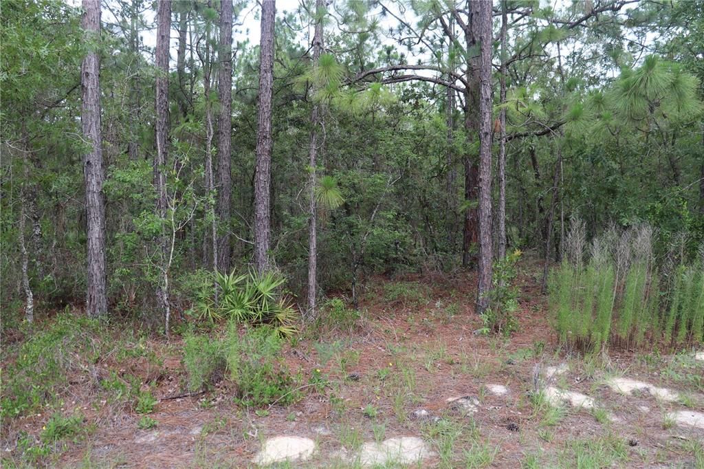 Recently Sold: $75,000 (2.30 acres)