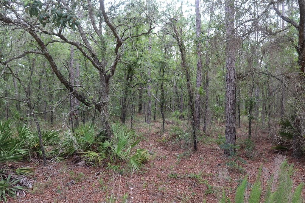 Recently Sold: $75,000 (2.30 acres)