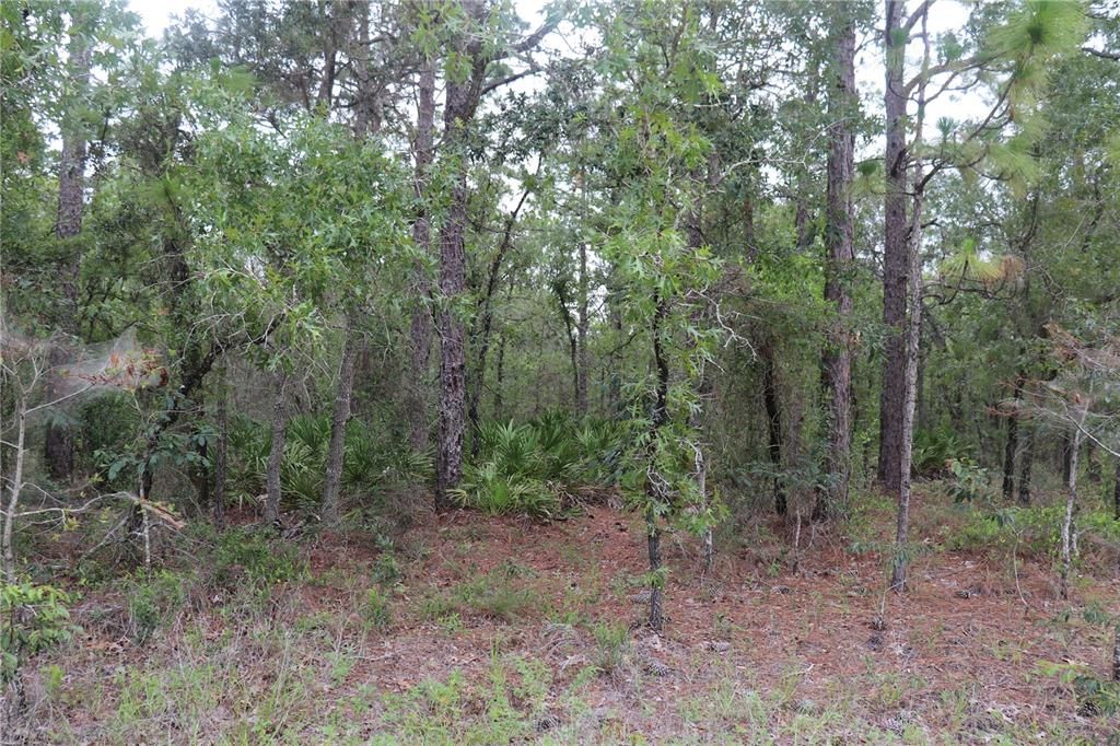 Recently Sold: $75,000 (2.30 acres)