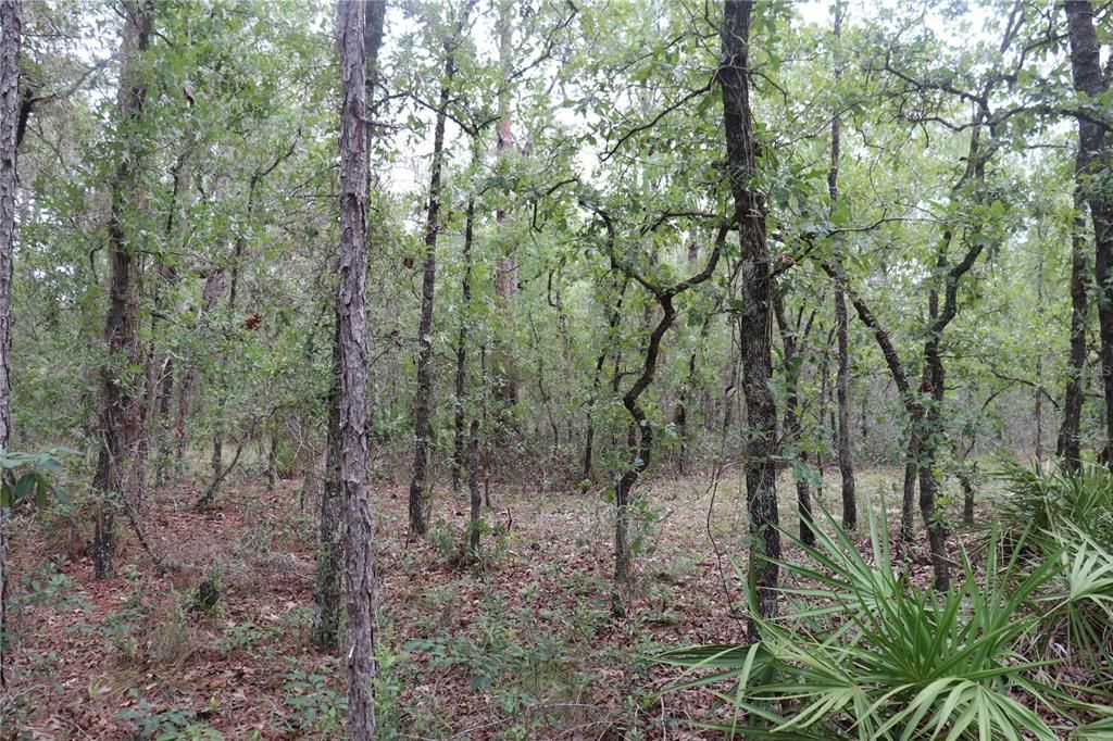 Recently Sold: $75,000 (2.30 acres)