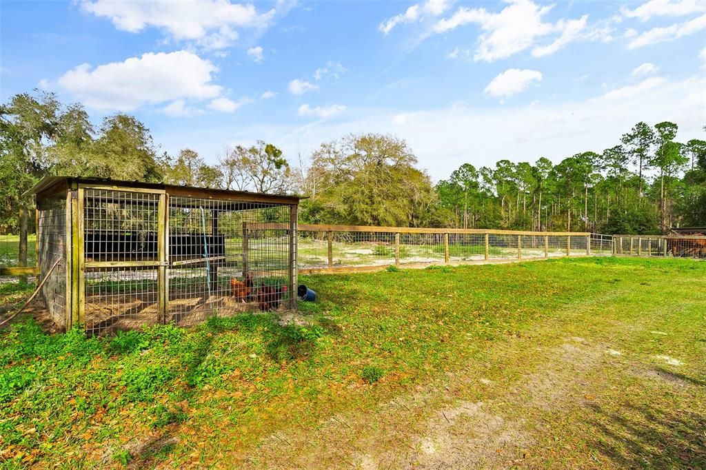 Behind palm trees that line the pool for privacy - chicken coop and back fenced pasture