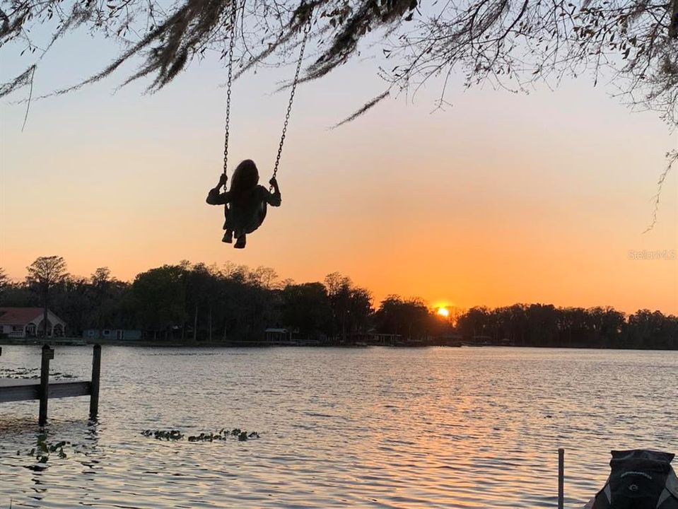 Swing into the sunset on your own shoreline tree swing.