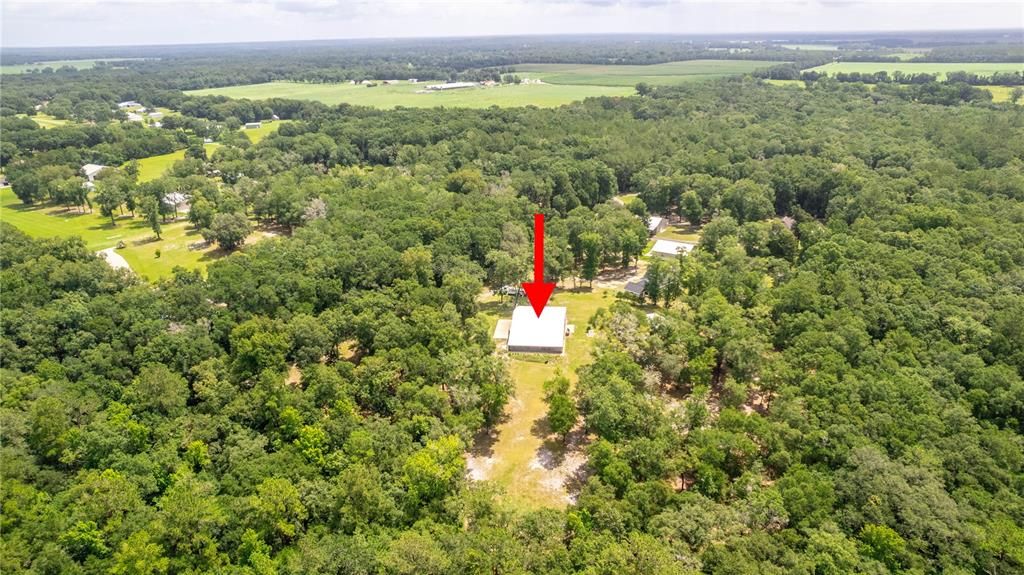 There is an amazing slope and distance from the hangar home which is in Flood zone X. The creek runs through the West side of the property but is at a much lower elevation. The area the creek is in is Flood zone A.