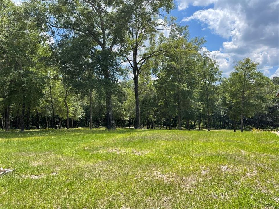 The green grass over this mound is where the septic system is and then the drain field. This is facing West. All these trees in this picture on the subject property.