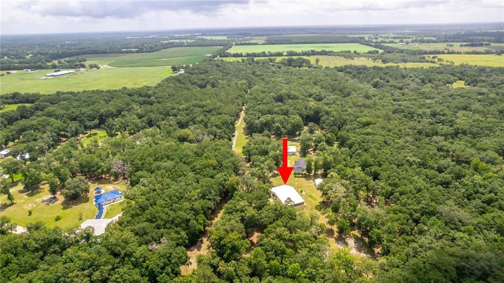 The large patch of grass along the driveway heading East between the trees where the hangar is would be the direction you taxi to go around the corner to the taxiway to get to the runway.