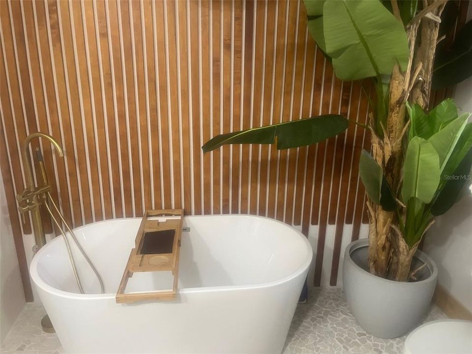 Guest Bath Tub