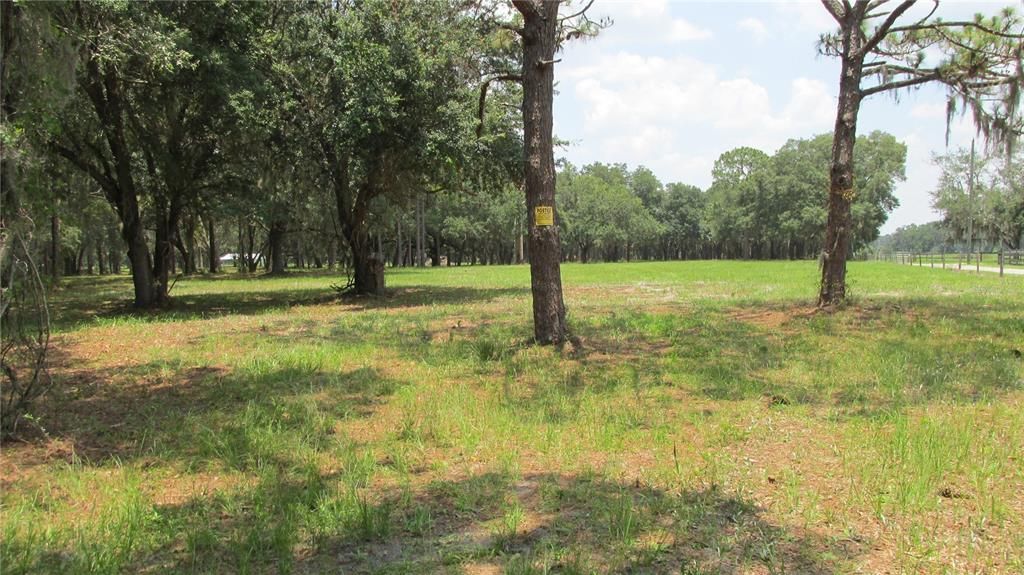 For Sale: $299,000 (12.22 acres)