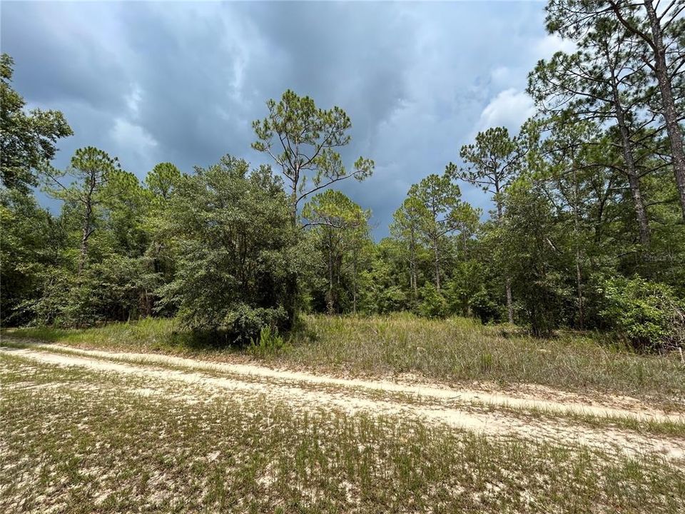 Recently Sold: $109,900 (10.00 acres)