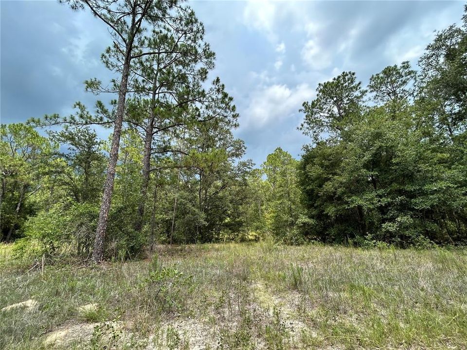 Recently Sold: $109,900 (10.00 acres)