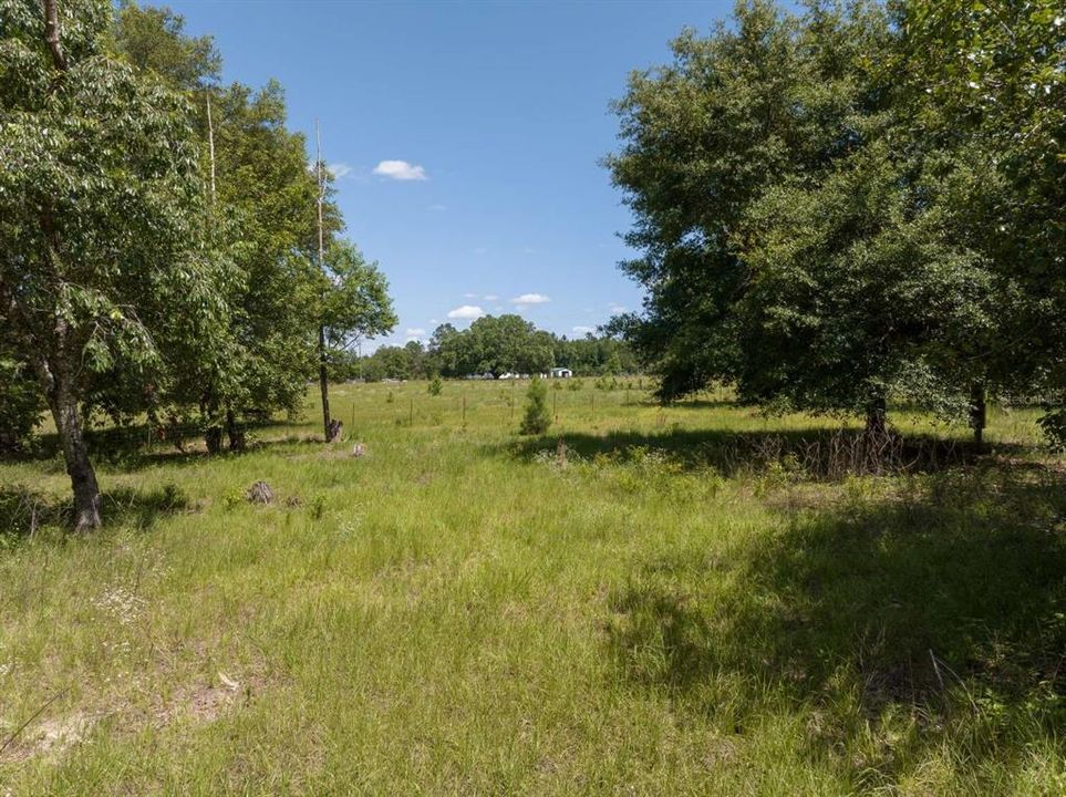 Recently Sold: $47,299 (1.04 acres)