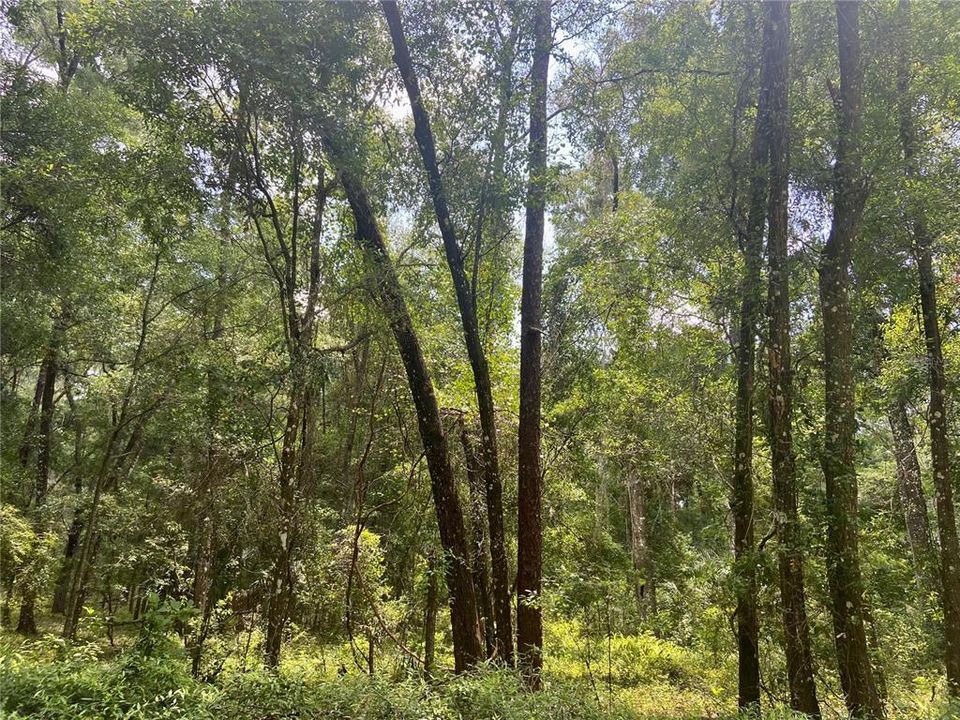 Vendido Recientemente: $68,000 (1.05 acres)