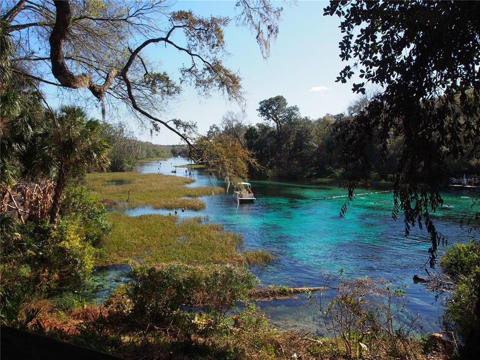 Rainbow Springs River