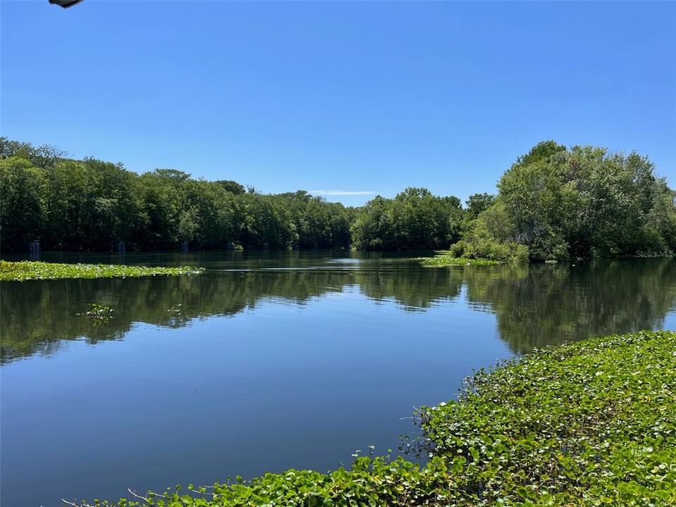 Ocklawaha River