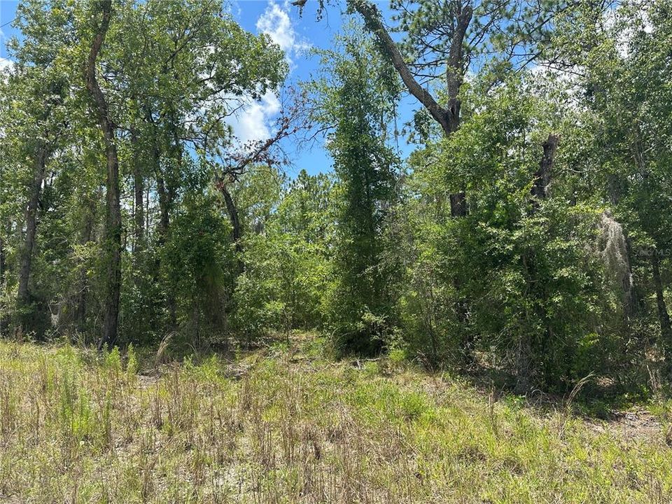 Recently Sold: $19,500 (1.03 acres)