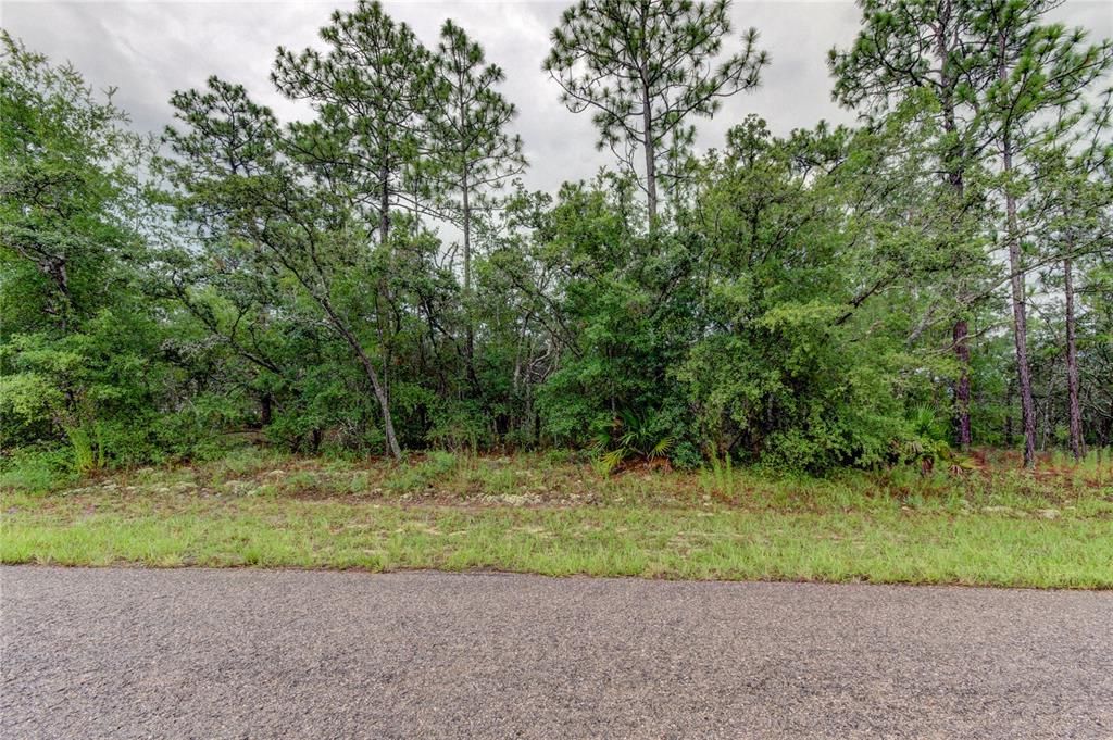 Recently Sold: $16,000 (0.29 acres)