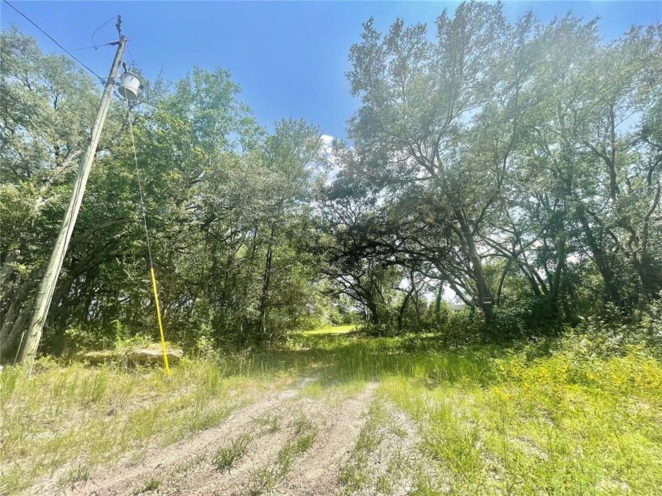 Recently Sold: $25,000 (1.25 acres)