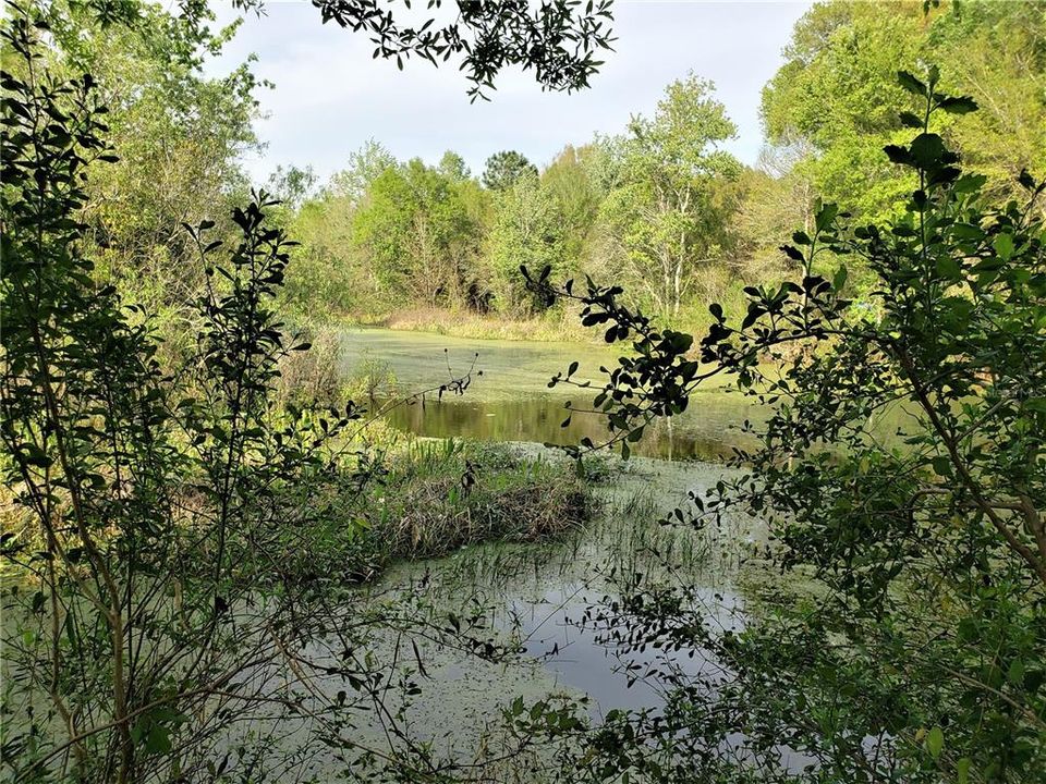 FLOWING WATERWAY ON E. OF PROPERTY