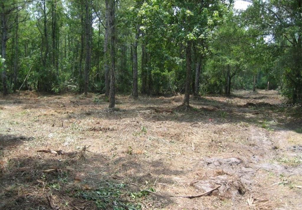 Recently Sold: $5,000 (2.35 acres)