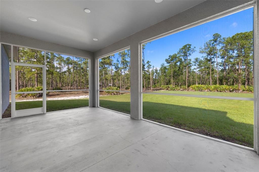 Patio - Fully screened in large covered lanai -20x10