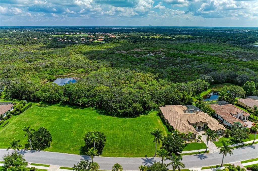 Preserve in the back - as far as the eye can see