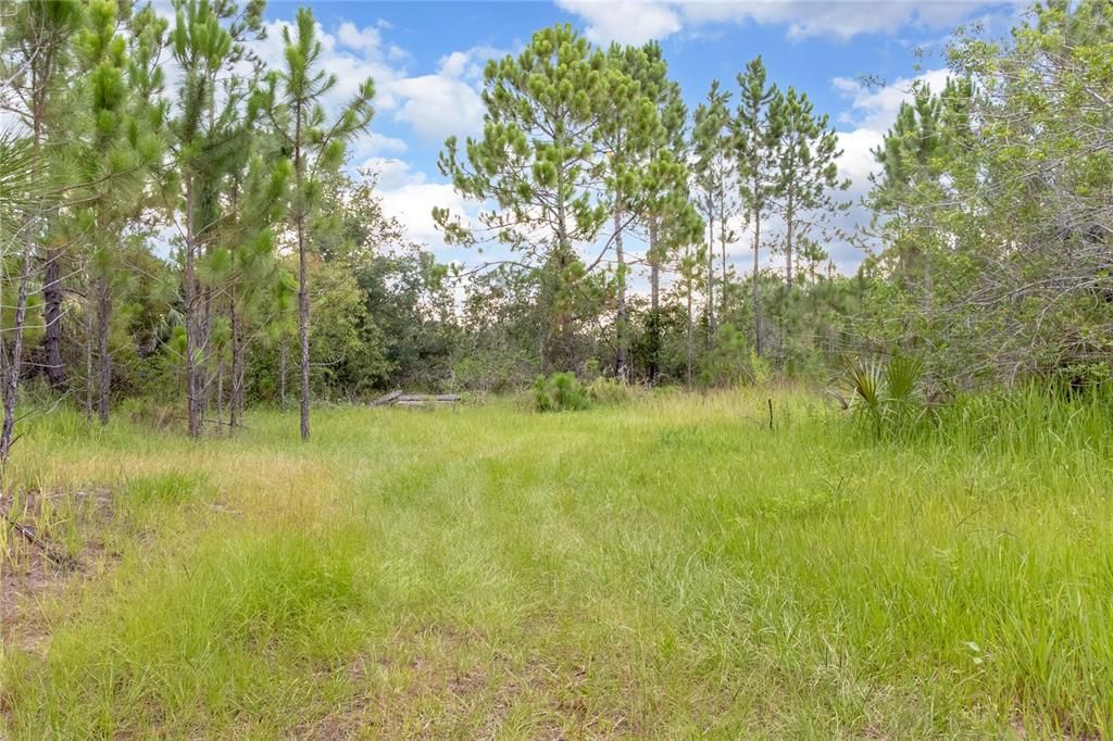 Recently Sold: $90,000 (1.02 acres)