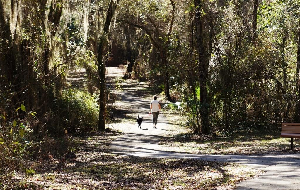 Another example of the many walking and biking trails within Citrus Hills communities and the surrounding area.