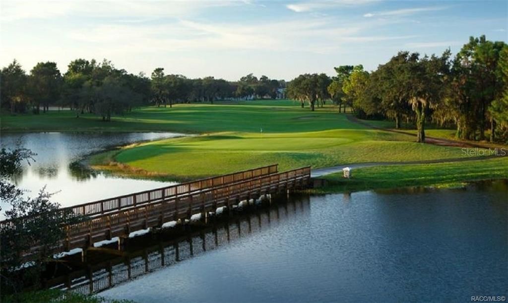 The challenging and picturesque Skyview Golf course - one of 3 PGA courses at Citrus Hills.