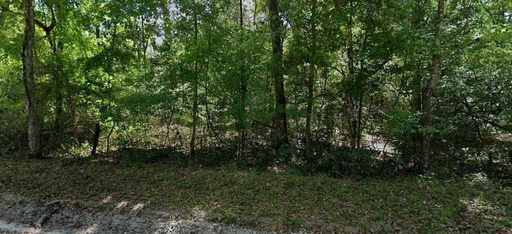 Recently Sold: $32,377 (1.25 acres)