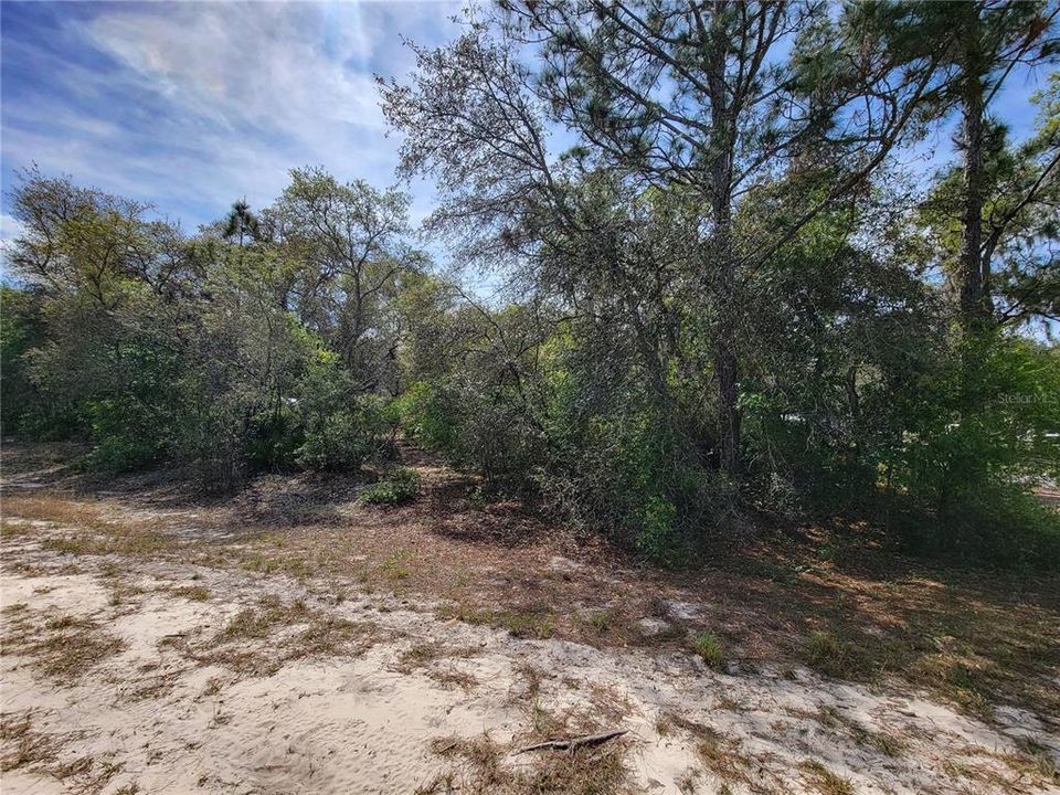 Recently Sold: $18,900 (1.01 acres)