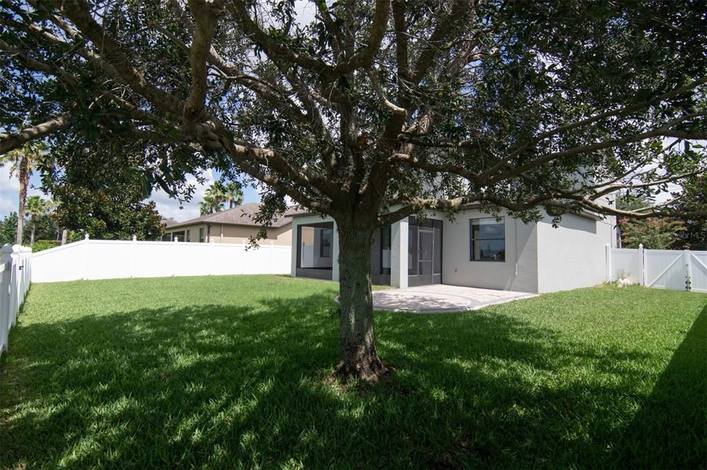 Huge fenced back yard