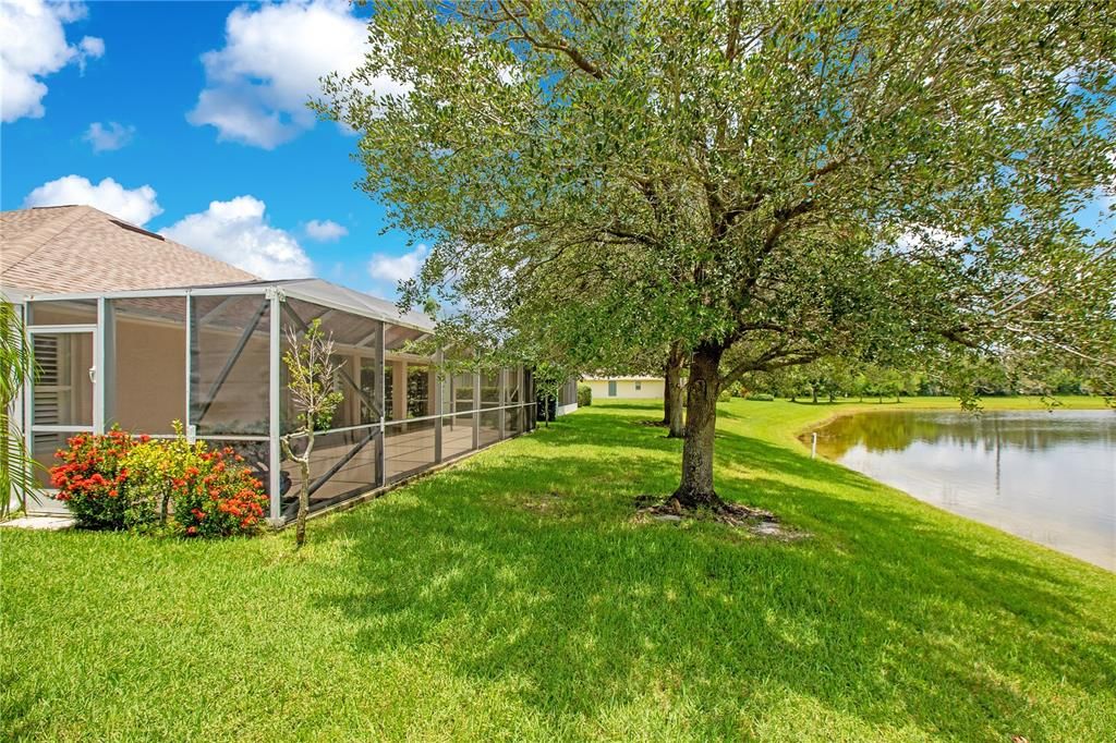 Nice shade in your backyard overlooking Water