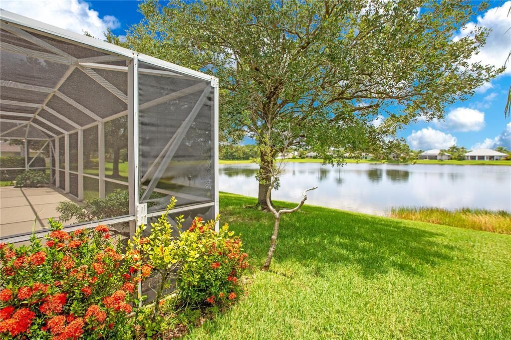 Mature Landscaping on your patio with a View