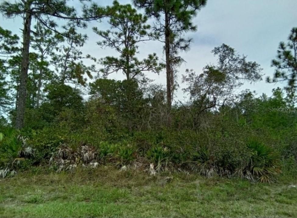 Recently Sold: $18,500 (0.50 acres)