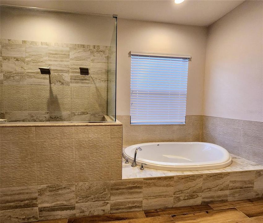 Primary Bath Tub & Shower