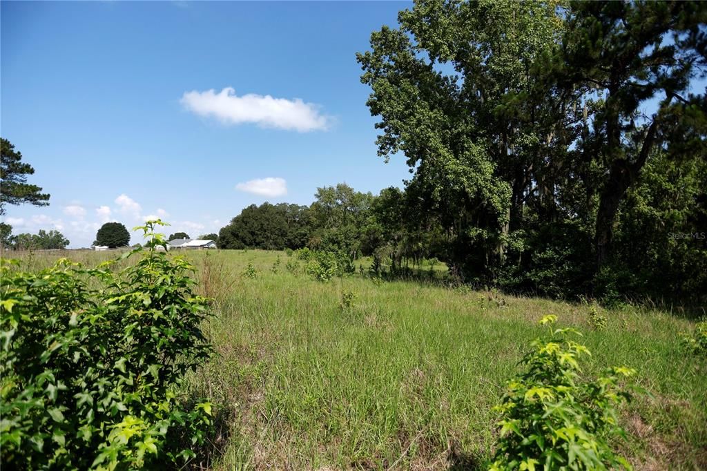 Recently Sold: $340,000 (10.00 acres)