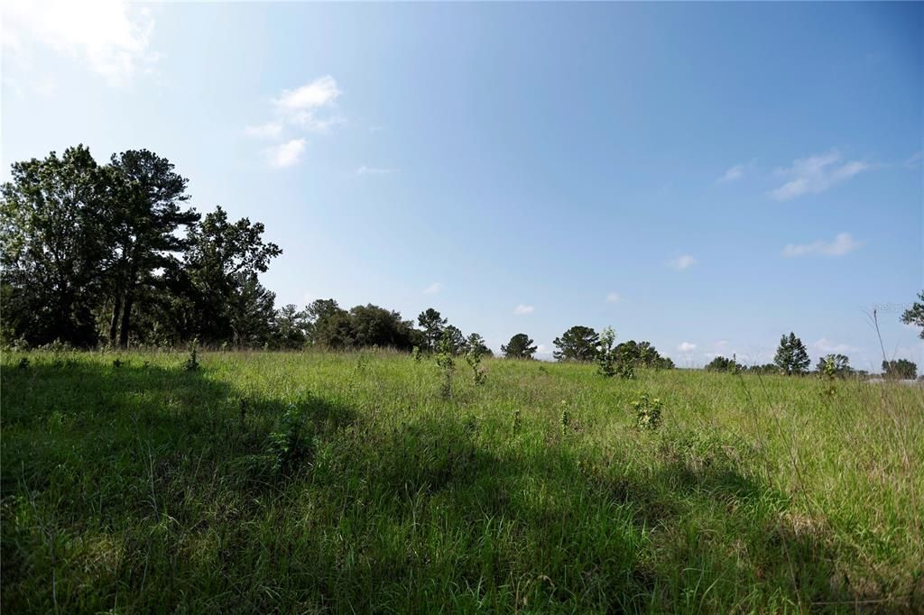 Recently Sold: $340,000 (10.00 acres)