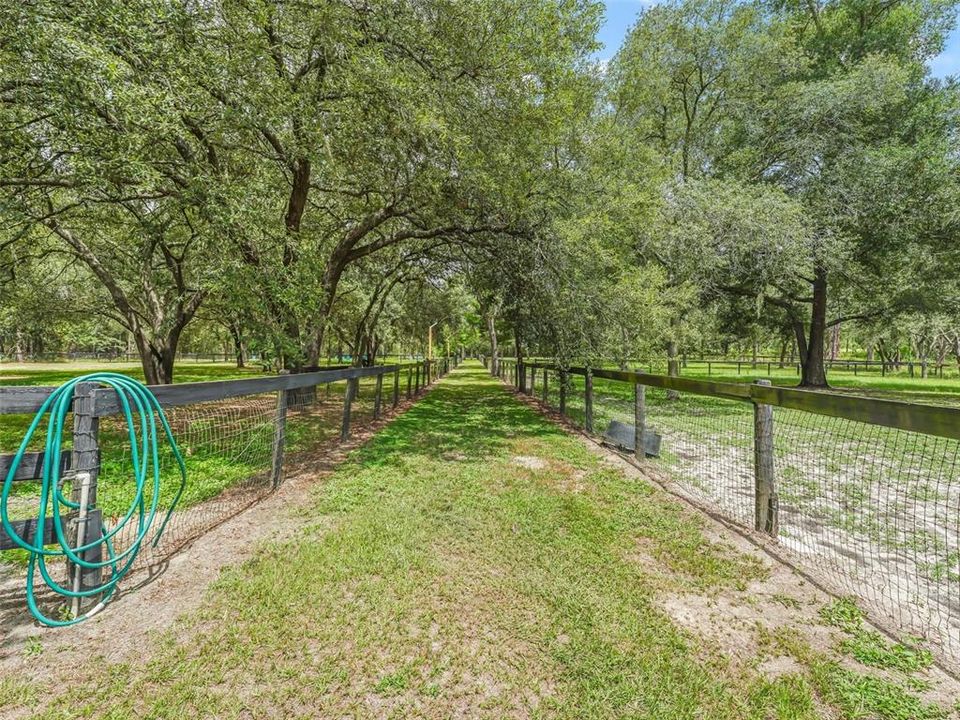 Lane to back paddocks and riding area