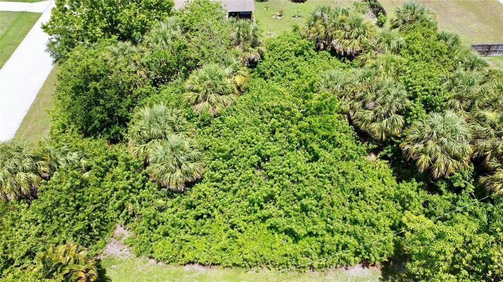 En Venta: $28,000 (0.23 acres)