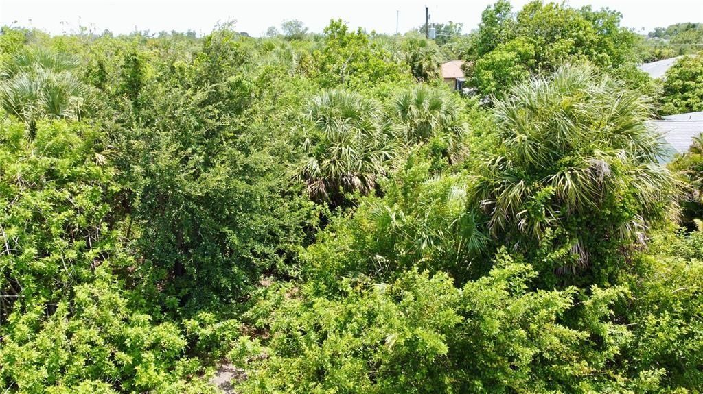 En Venta: $28,000 (0.23 acres)