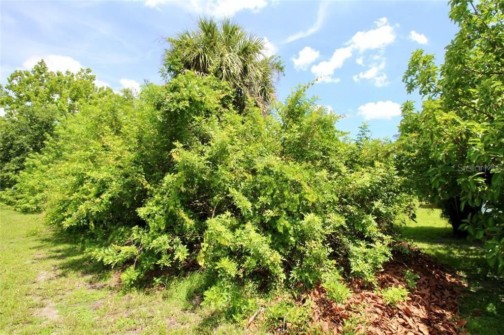 En Venta: $28,000 (0.23 acres)