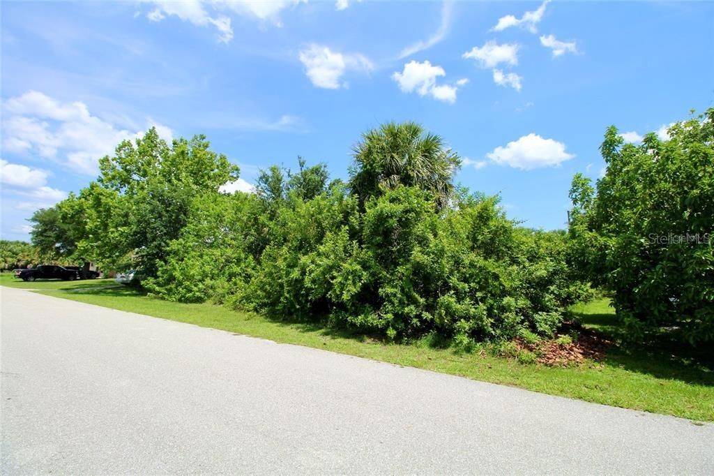 En Venta: $28,000 (0.23 acres)