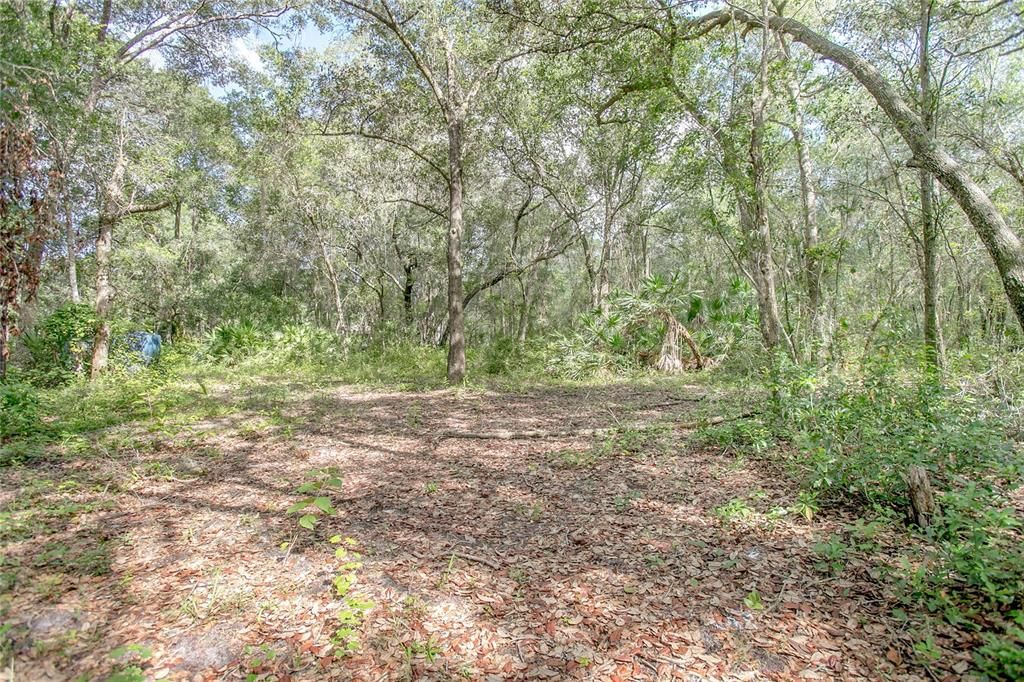 Recently Sold: $96,000 (2.50 acres)